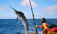 Big Game Fishing Full-Day Tour - Full-day Tours