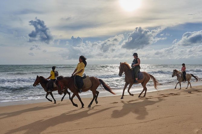 Phuket Horse Riding Club - Horseback Riding