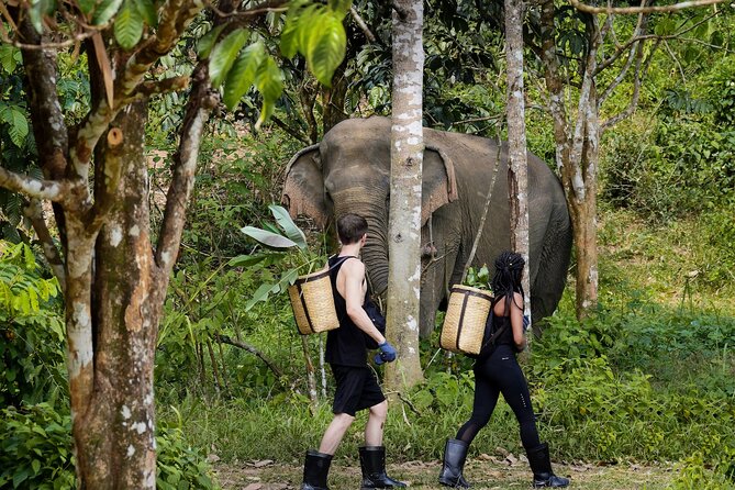 Phuket: Full-Day Phuket Elephant Sanctuary Tour with Meals - Full-day Tours