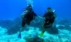 Coral Island Half-day Tour from Phuket City - Half-day Tours