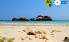 Island Hopping Day Tour from Phuket with Snorkeling and Lunch - Phi Phi Islands