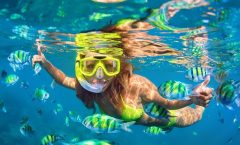 Phi Phi Snorkeling/Adventure Deluxe Day Trip, Gold Package, Limited Guests - Phi Phi Islands