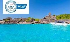 Similan Islands by Speedboat from Phuket - Day Trips