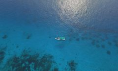 Phi Phi Islands Private Speedboat with Hotel Pickup - Phi Phi Islands
