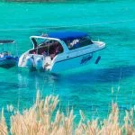 Phuket Coral Island by Speedboat With Lunch - Snorkeling