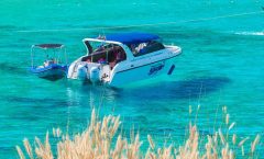 Phuket Coral Island by Speedboat With Lunch - Snorkeling