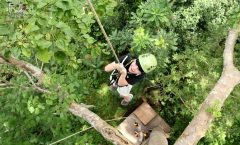 Phuket Hanuman World Zipline: 18 Platforms and Hotel Transfers - Ziplining