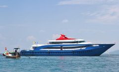 Phi Phi Island Tour by Big Boat by Royal Jet Cruiser (First Class) - Phi Phi Islands