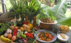 Phuket Small-Group Organic Thai Cooking Class and Market Tour - Cooking Classes