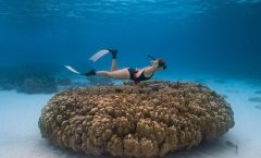 Raya Island / Mai Ton Island Private Boat Tour - Racha Island