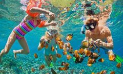 Phi Phi Islands Snorkeling Day Tour by Speedboat with Lunch - Phi Phi Islands