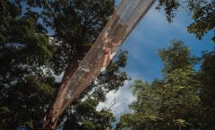 Rites of Passage Eco Adventure: Phuket - Adventure Tours