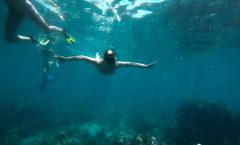 Full-Day Racha Noi and Racha Yai Snorkeling from Phuket - Snorkeling