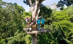 Go Ziplining in the Jungle in Patong, Phuket - Ziplining