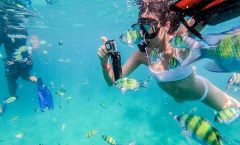 Maya Bay, Phi Phi Don Island, and Khai Island Boat Tour - Phi Phi Islands