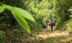Phuket Khao Phra Taew Jungle Trekking Tour - Nature and Wildlife