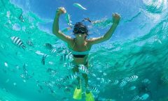 Raya Island Tour by Speed Boat from Phuket - Racha Island