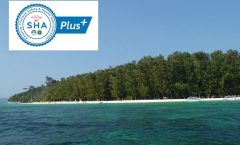 Phi Phi Islands and Bamboo Island by Speedboat - Jet Boat Rentals
