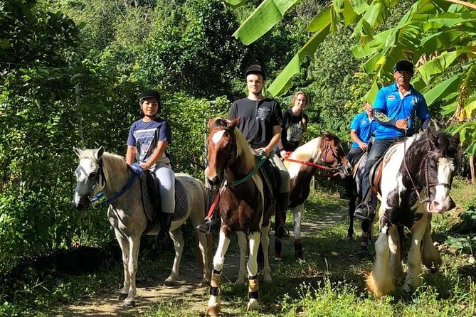 Phuket Horseback Riding 1 hour trail - Horseback Riding