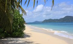 Bon Island Tour by longtail boat with Lunch - Lunch Cruises