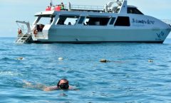 Blu Anda Catamaran to Phi Phi from Phuket - Catamaran Cruises