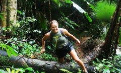 Small-Group Jungle Hiking Excursion in Khao Phra Teaw Park - Hiking Tours