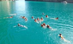 Half Day Tour to Phi Phi Islands - Half-day Tours