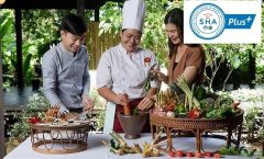 Phuket Small-Group Thai Cooking Class - Cooking Classes
