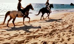 Krabi Horse Riding at Ao Nam Mao Beach - Horseback Riding