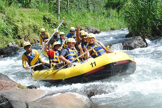 Phuket Small-Group Rafting and Jungle Tour - White Water Rafting