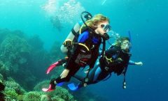 SSI | Padi Open Water Course in Phuket - Multi-day Tours