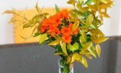 Bangtao Guest House in Surin