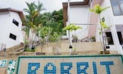 Rabbit Mansion2 in Patong