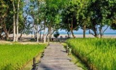 Thara Patong Beach Resort & Spa in Koh Yao Yai