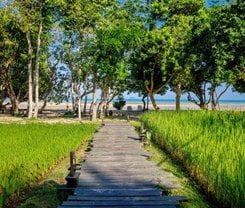 Thara Patong Beach Resort & Spa in Koh Yao Yai